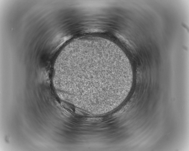 X0000098161305200805081055