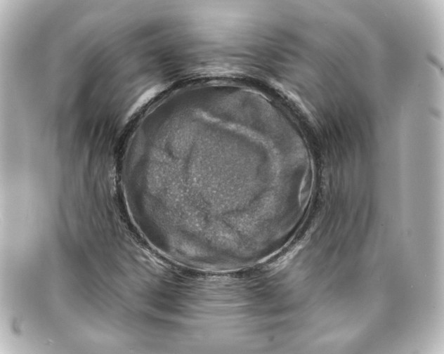 X0000098161306200805081055