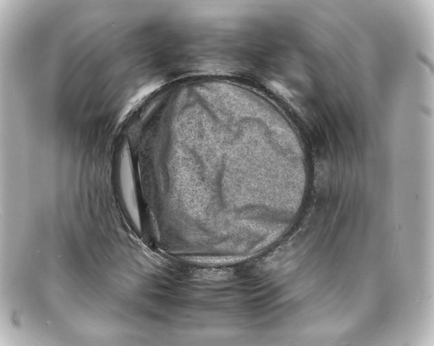 X0000098161307200805081055
