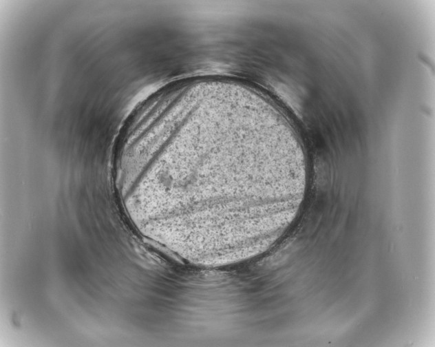X0000098161308200805081055