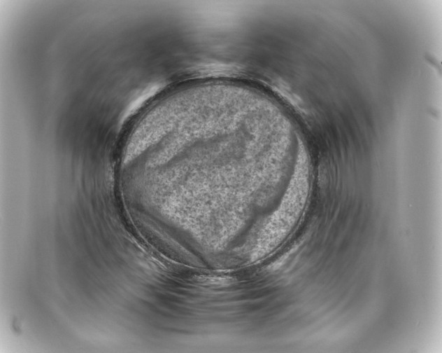 X0000098161309200805081055
