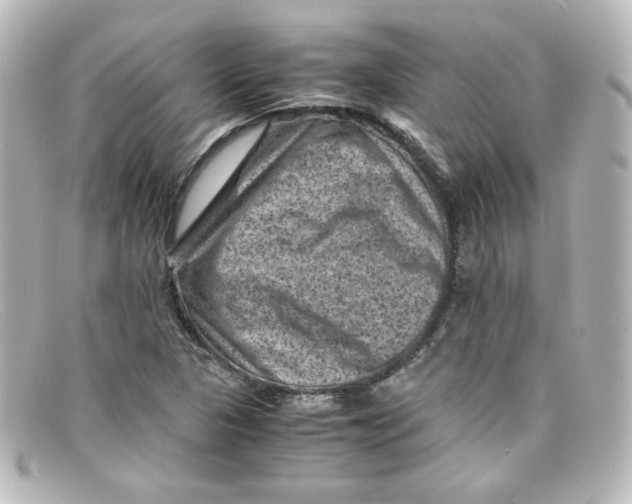 X0000098161313200805081055