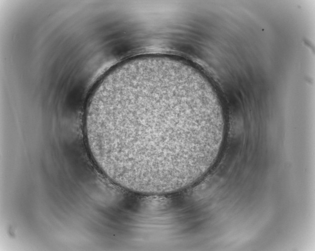 X0000098161314200805081055