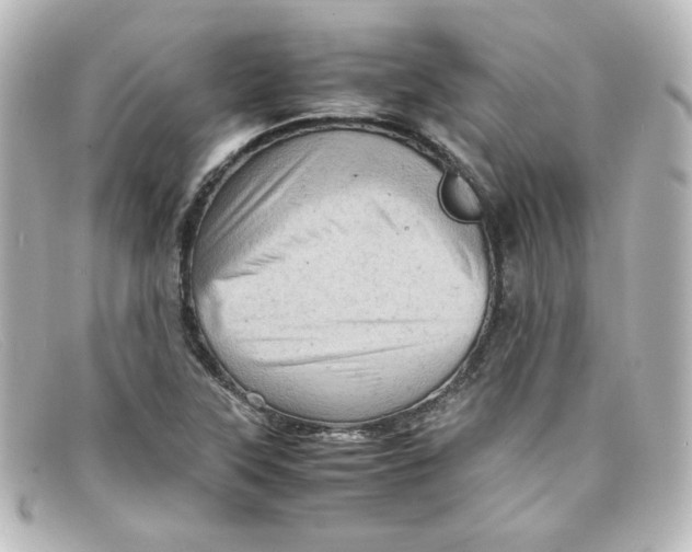 X0000098161315200805081055