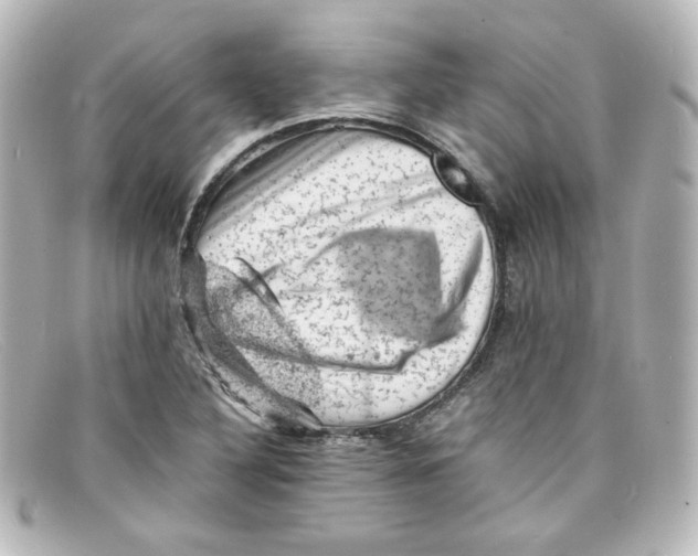 X0000098161316200805081055
