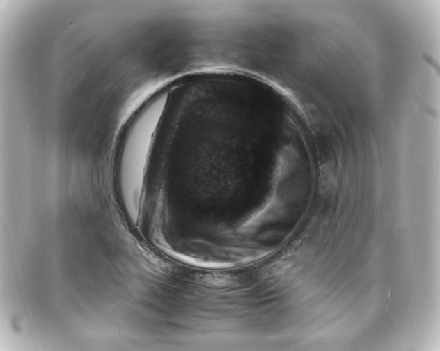 X0000098161319200805081055