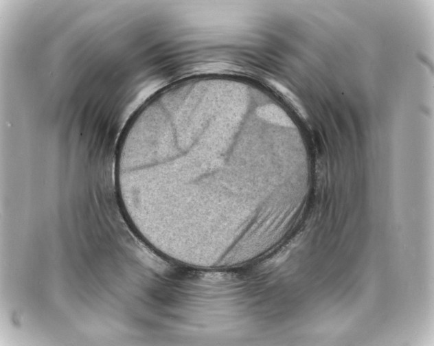 X0000098161322200805081055