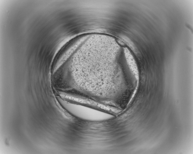 X0000098161332200805081055
