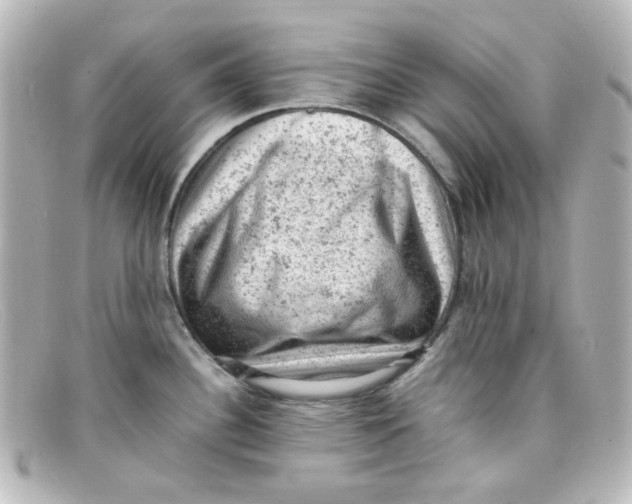 X0000098161340200805081055