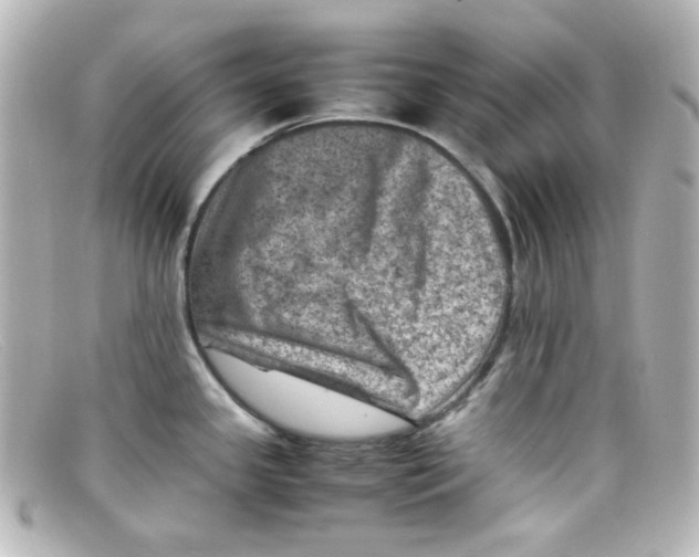 X0000098161341200805081055