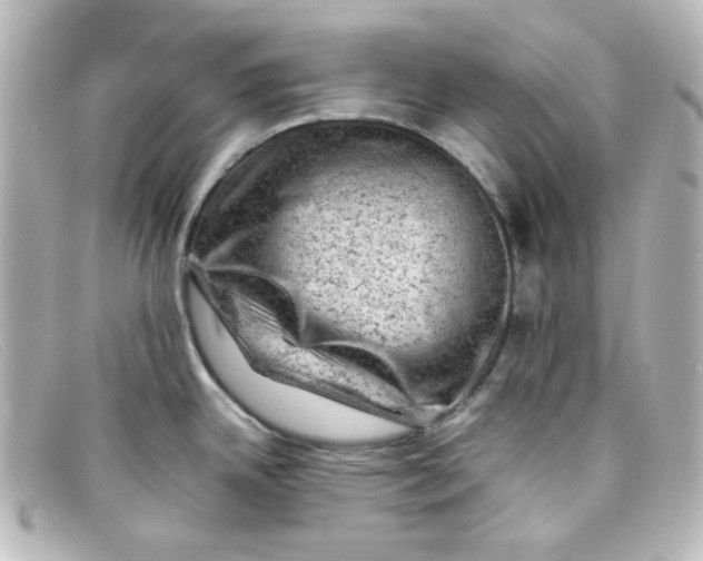 X0000098161342200805081055