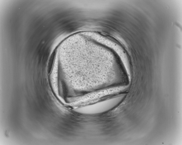 X0000098161344200805081055
