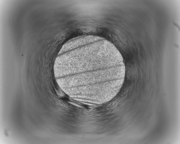 X0000098161345200805081055