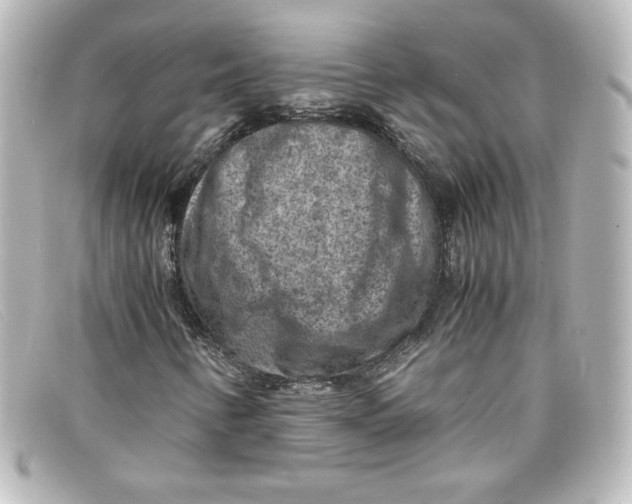 X0000098161346200805081055