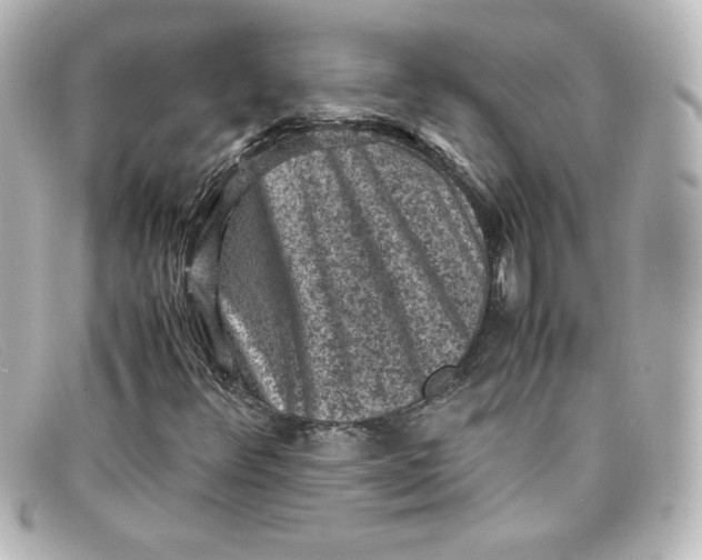 X0000098161348200805081055