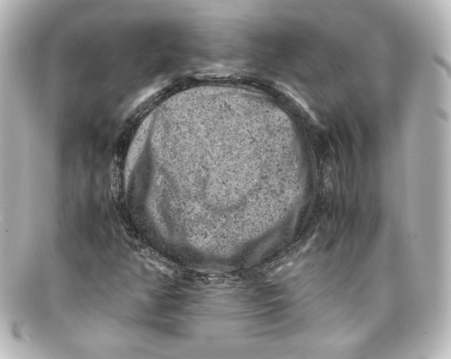 X0000098161350200805081055