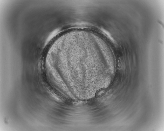 X0000098161352200805081055