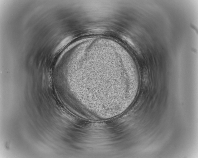 X0000098161354200805081055