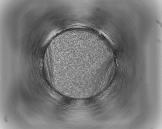 X0000098161355200805081055
