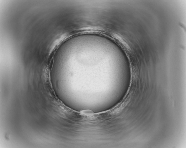 X0000098161357200805081054