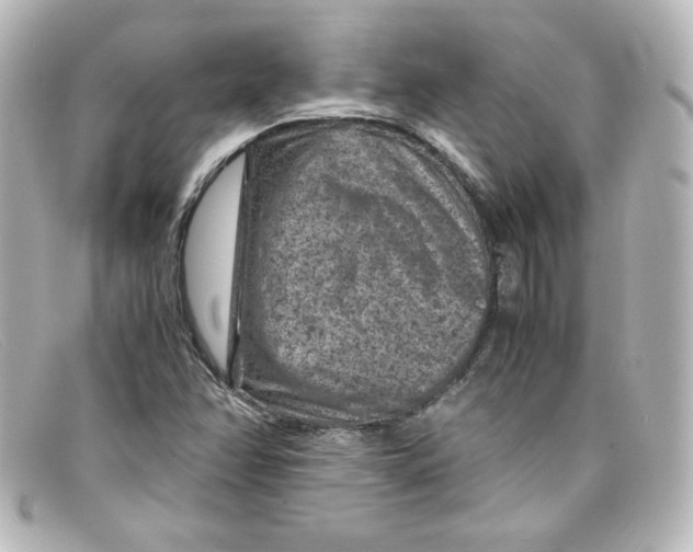 X0000098161358200805081054