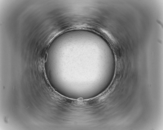 X0000098161361200805081054