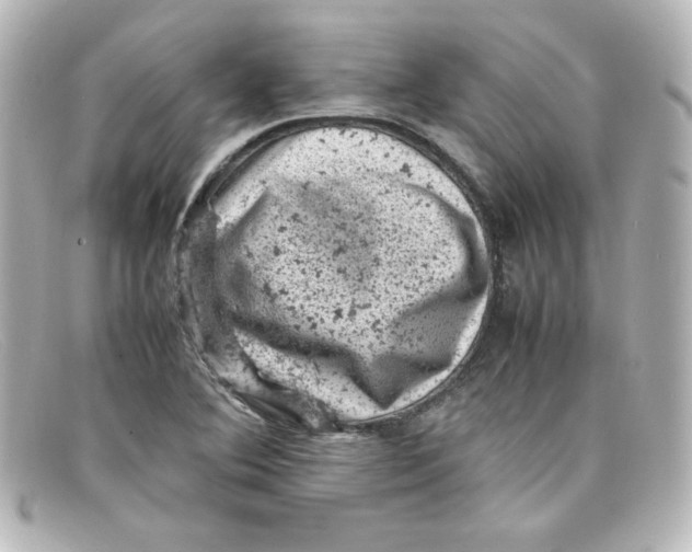 X0000098161364200805081054