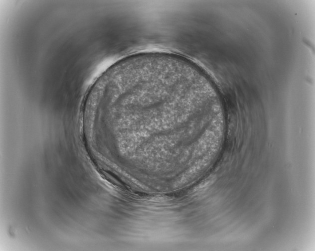 X0000098161367200805081054
