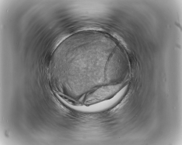 X0000098161369200805081054