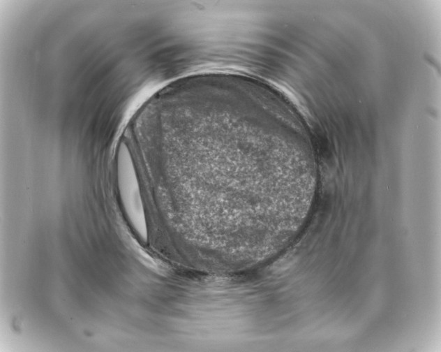 X0000098161371200805081054