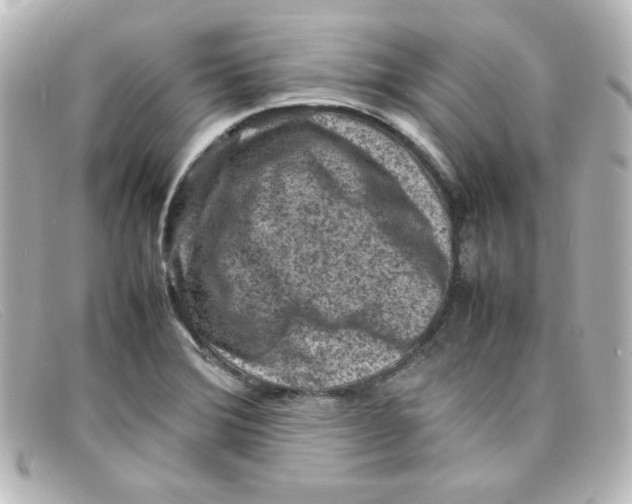X0000098161372200805081054