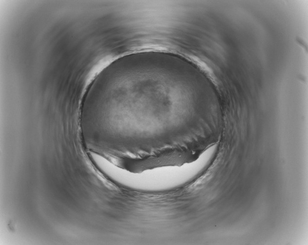 X0000098161373200805081054