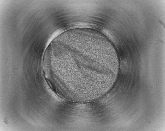 X0000098161378200805081054