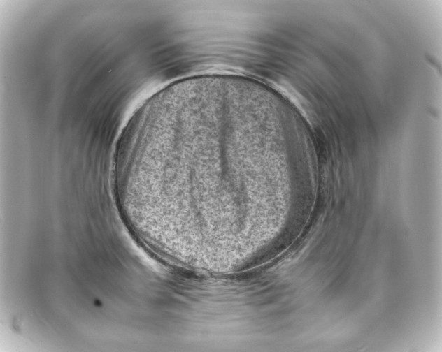 X0000098161379200805081054