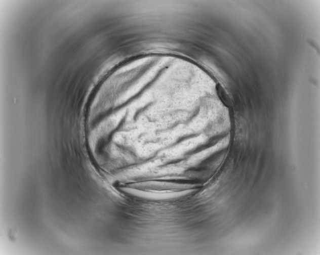 X0000098161384200805081054