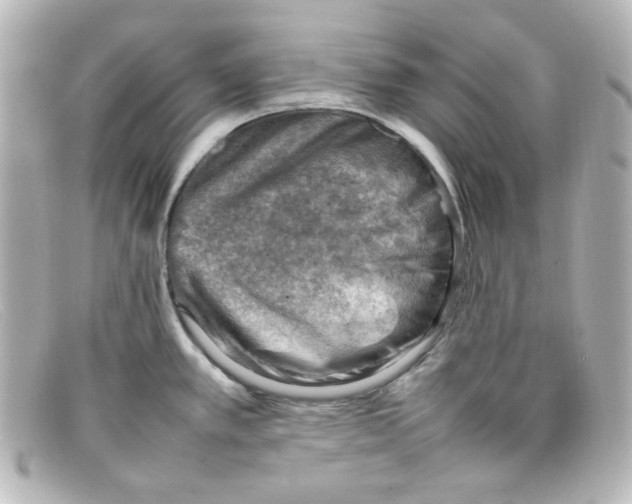 X0000098161389200805081054