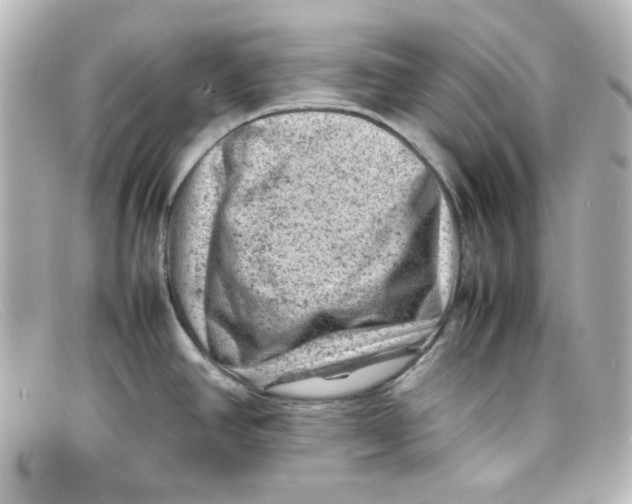 X0000098161390200805081054