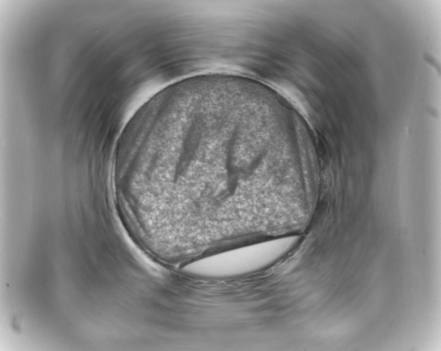 X0000098161391200805081054