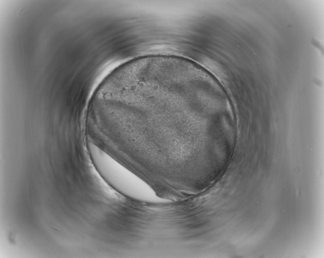 X0000098161392200805081054