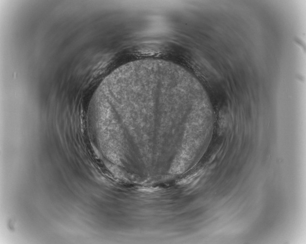 X0000098161394200805081053