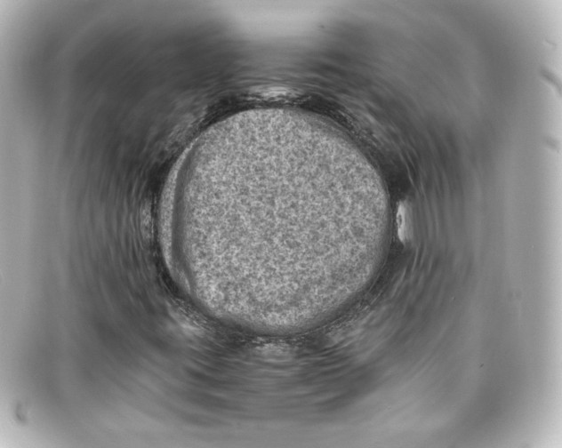 X0000098161395200805081053
