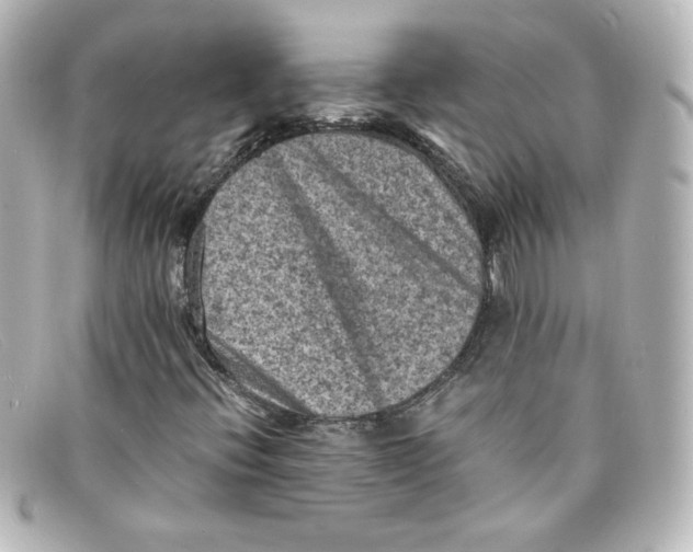 X0000098161396200805081053