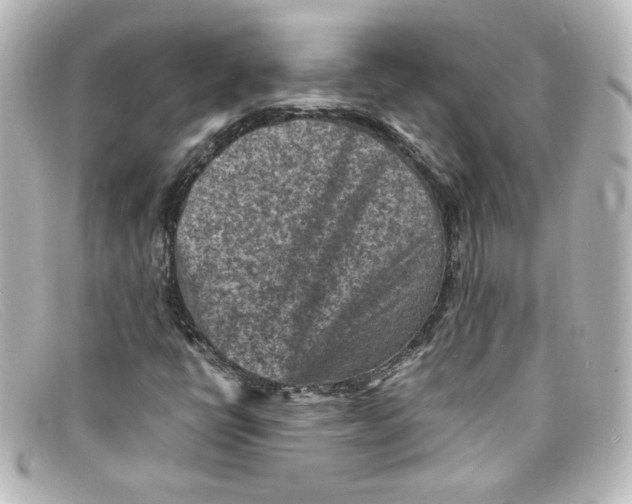 X0000098161398200805081053