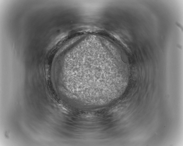 X0000098161399200805081053