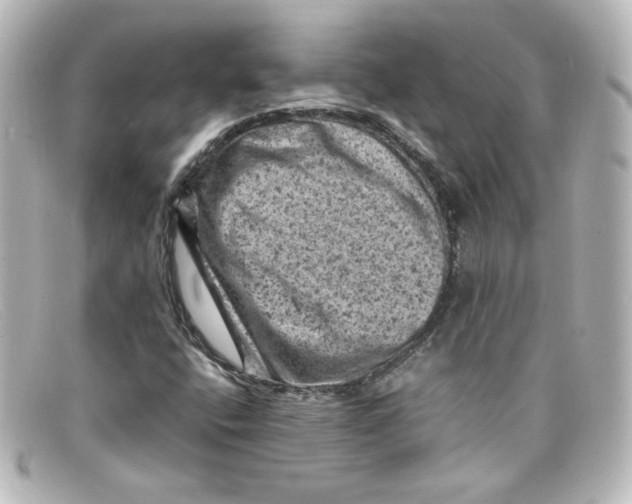X0000098161400200805081053