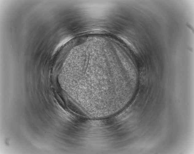 X0000098161402200805081053