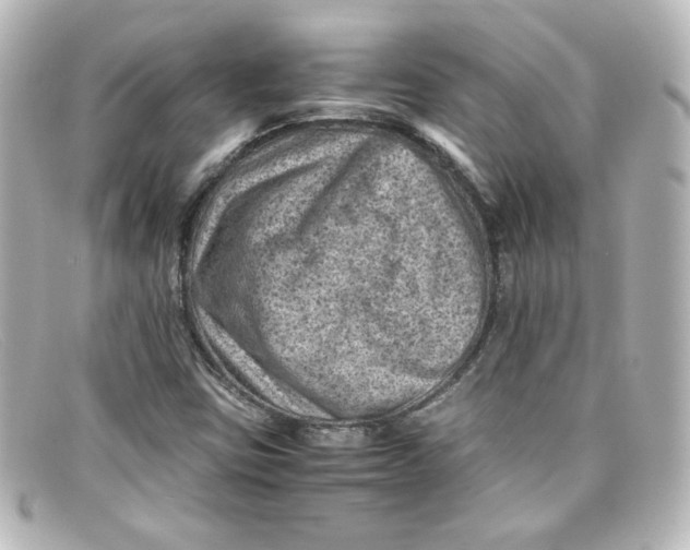 X0000098161403200805081053