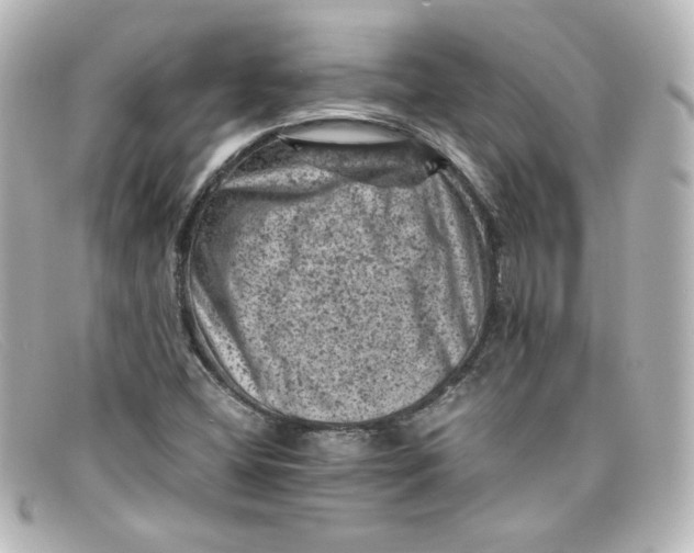 X0000098161404200805081053