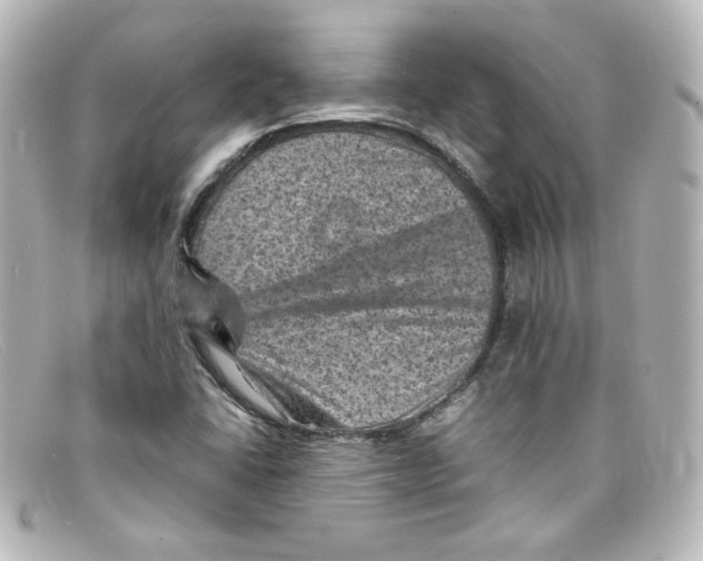 X0000098161406200805081053