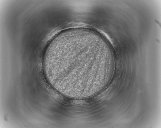 X0000098161407200805081053